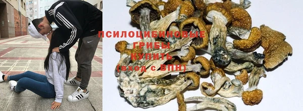 гашишное масло Алзамай